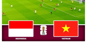 Indonesia vs vietnam 